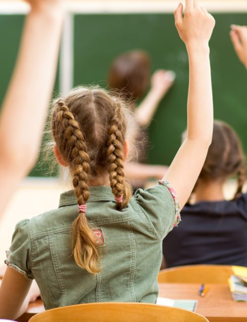 williamston-michigan-schools-1