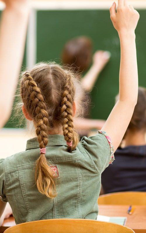 williamston-michigan-schools-1