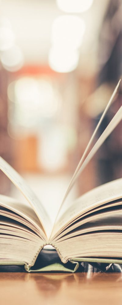 williamston-michigan-schools-6